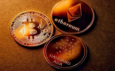 Le principali differenze tra cardano e bitcoin