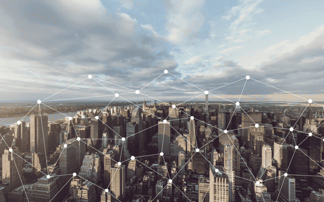 blockchain (23) aziende che compongono cardano